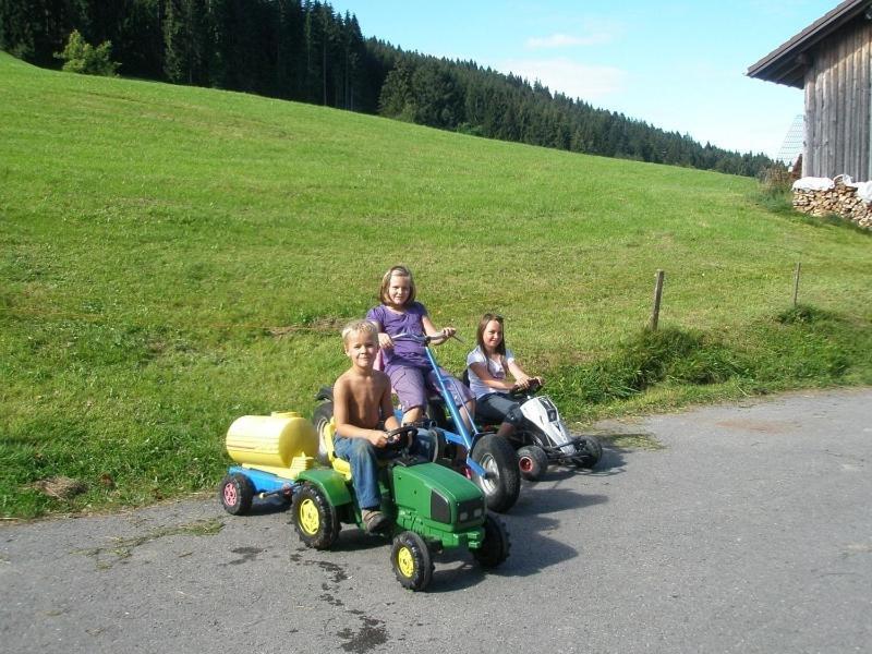 Lindenhof Apartman Sulzberg Kültér fotó